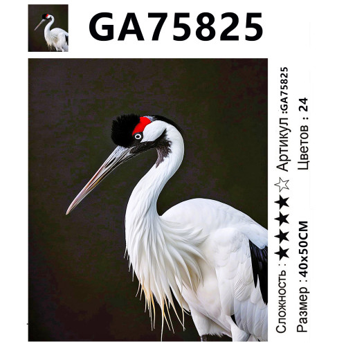 GA75825
