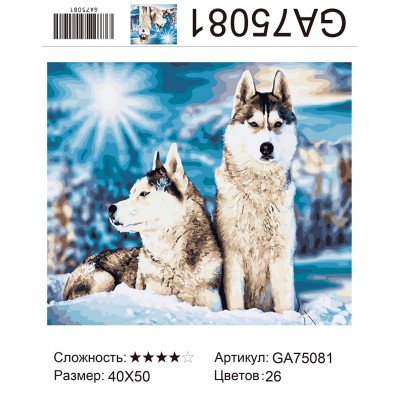Купить Алмазная мозаика 40х50 на подрамнике  GA75081 оптом в интернет-магазине Новый мир