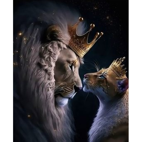 Q6541
